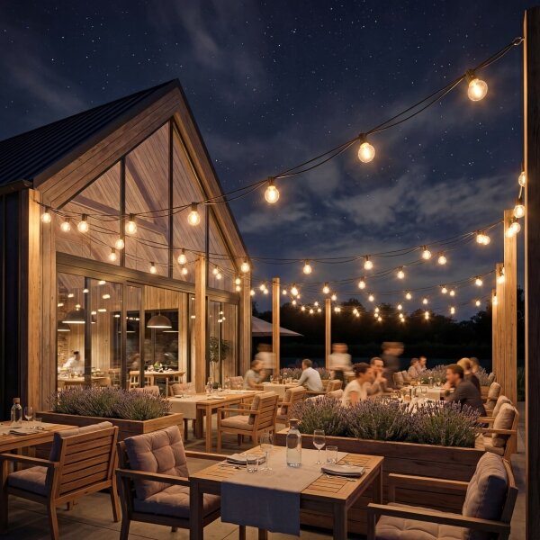 Catena luminosa decorativa da esterno LED dimmerabile 36xE12/1W/24/230V 22,35 m IP65 nero + telecomando