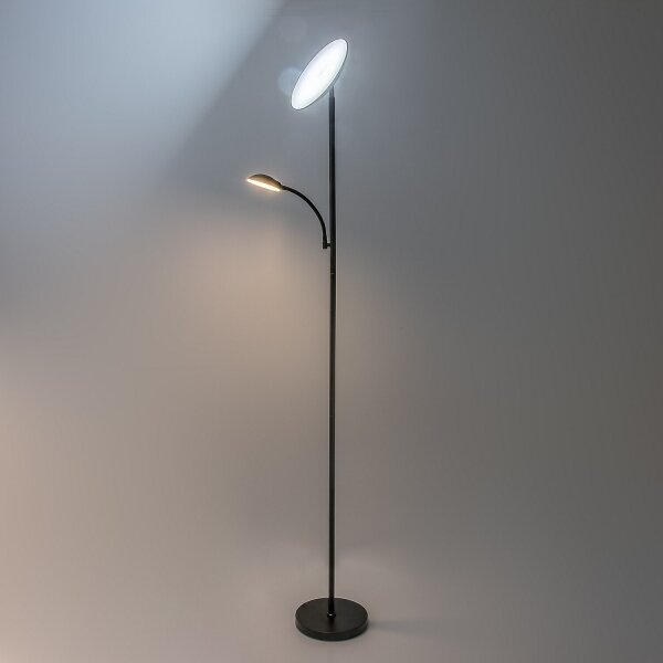 Rabalux 74084 - LED dimmerabile lampada da terra HALINA 23W/230V 3000/4200/6500 K nera