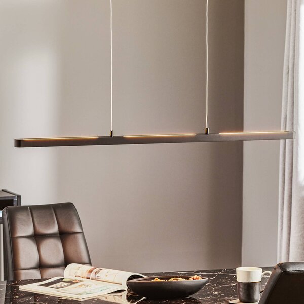 Paulmann Lampada LED a sospensione Lento, nera, 100 cm, luce verso l'alto/verso dimmerabile, Nero, Soggiorno / Sala da pranzo, Alluminio, Moderno