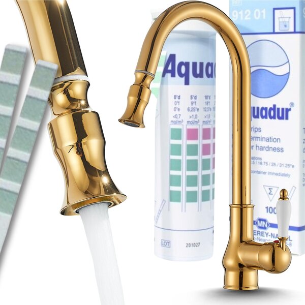 Rubinetto da cucina Ari Bloom con doccetta estraibile, beccuccio girevole 360, aeratore, cartuccia Vetroceramica, colore oro lucido
