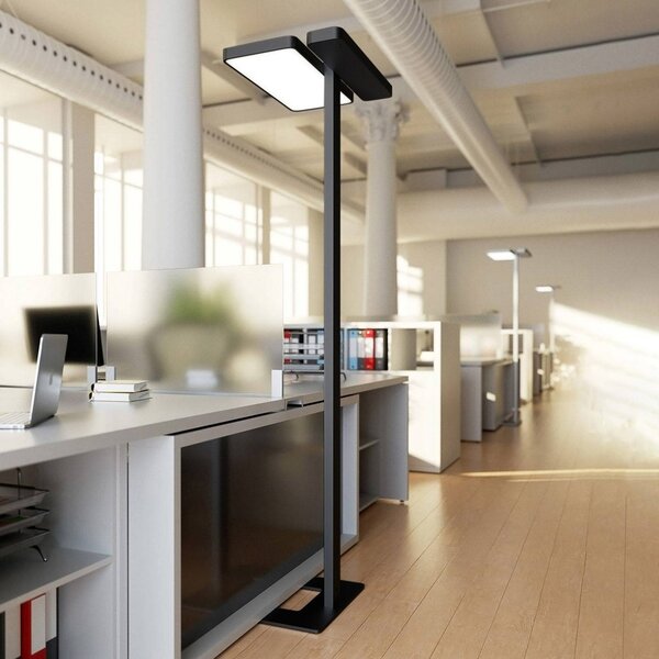 Lampada da terra per ufficio Arcchio LED Aila, nera, sensore di luce diurna Aila Arcchio, dimmerabile, Nero, Studio / Ufficio, Alluminio, Moderno