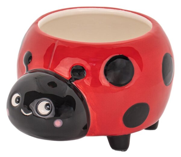 Coprivaso in ceramica Ladybird Mini – Sass & Belle