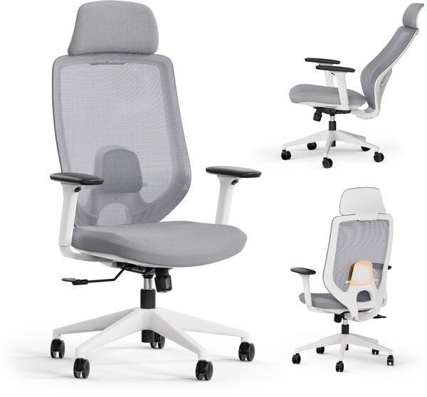 SENSE7 Nakai Sedia da ufficio ergonomica Sedia da scrivania Bianca Grigia Braccioli 3D Schienale in rete Supporto lombare Sedia direzionale Sedia per PC Ufficio domestico 150 kg
