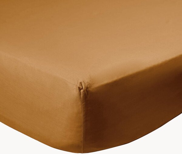 Lenzuolo con angoli boxspring in percalle di cotone Caramel