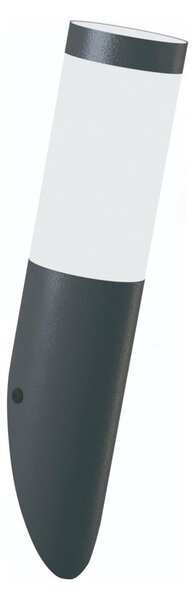 Brilagi - Lampada da parete per esterni ELIA 1xE27/20W/230V IP44 antracite