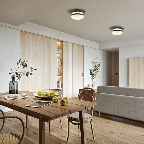 Plafoniera PALMA 1xE27/40W/230V nera