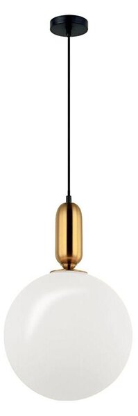 Lampadario a sospensione con cavo NEPTUNE 1xE27/40W/230V dorato