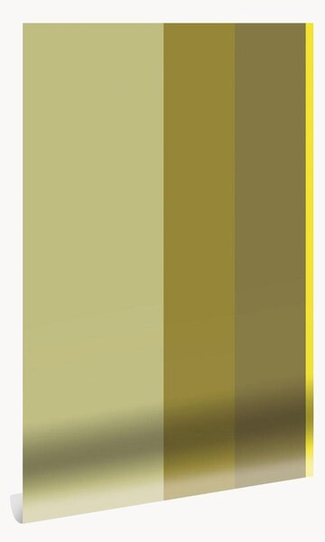 Carta da parati Frans Uyterlinde - Bold Stripes