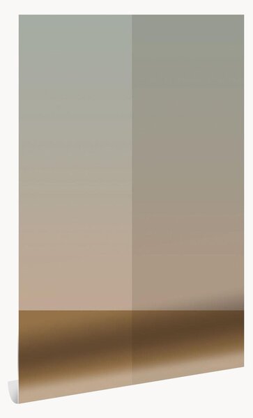 Carta da parati Frans Uyterlinde - Gradient Stripes
