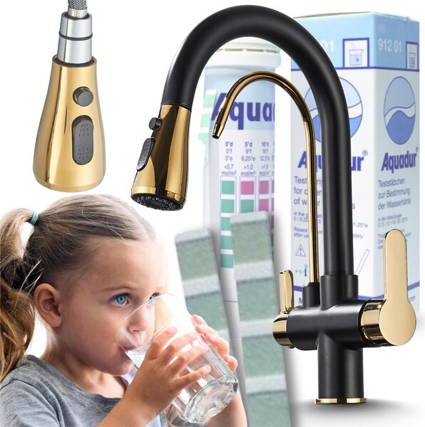 Rubinetto da cucina a 3 vie Ari Nordic con doccetta estraibile, collegamento filtro acqua, beccuccio girevole 360, nero oro