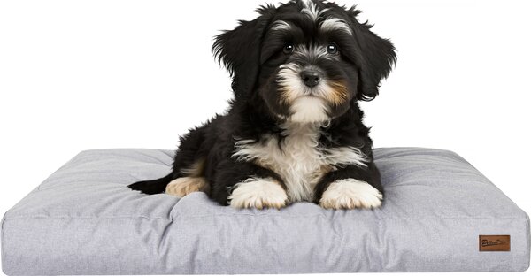Materasso per cani "Grand Light" - 75x50cm - Cuccia idrorepellente - Rettangolare - Outdoor & Indoor | PillowPrim