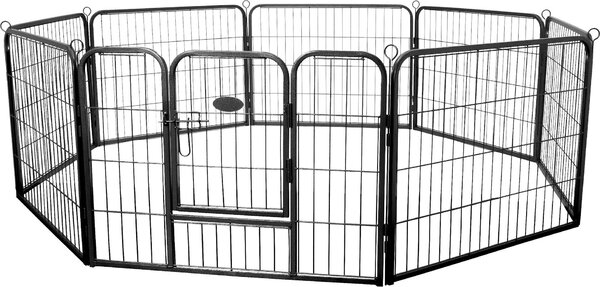 Pista per cuccioli "Rocky" in acciaio Zelsius per animali domestici, pieghevole | (L) 80 x (H) 60 cm