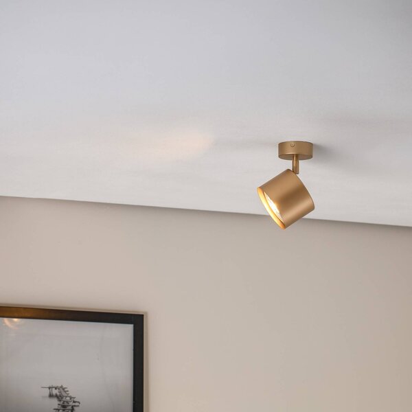 Faretto da soffitto Chloe orientabile 1 luce, oro Argon, dimmerabile, Ottone / Oro, Soggiorno / Sala da pranzo, Metallo, Moderno