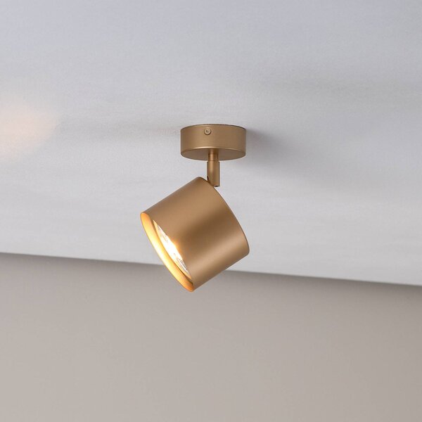 Faretto da soffitto Chloe orientabile 1 luce, oro Argon, dimmerabile, Ottone / Oro, Soggiorno / Sala da pranzo, Metallo, Moderno