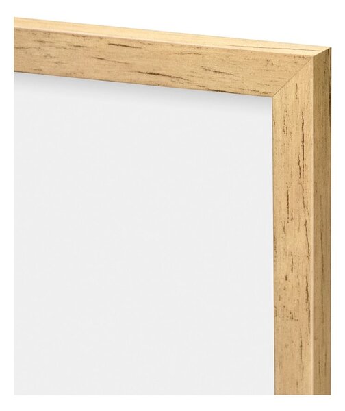 Dipinto 30x40 cm Grass – knor