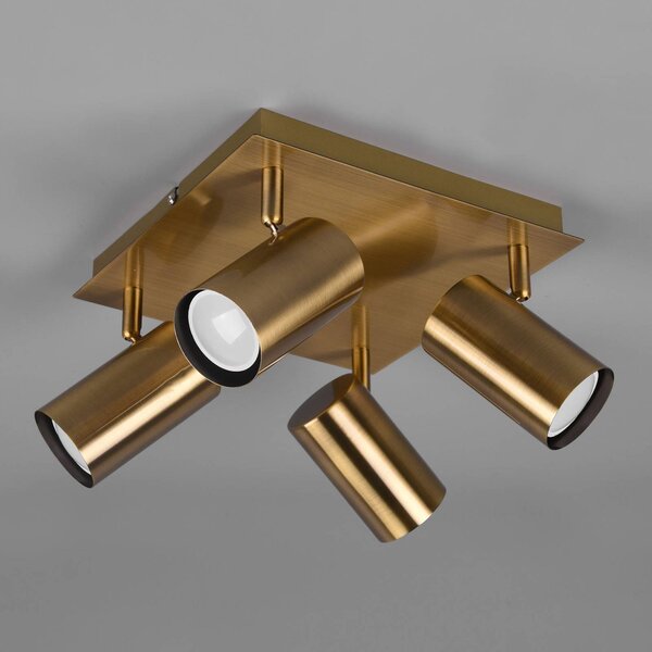 Trio Lighting Faretto da soffitto Marley, ottone antico, a 4 luci dimmerabile, Bronzo / Ottone antico, Soggiorno / Sala da pranzo, Metallo, Moderno, Faretto