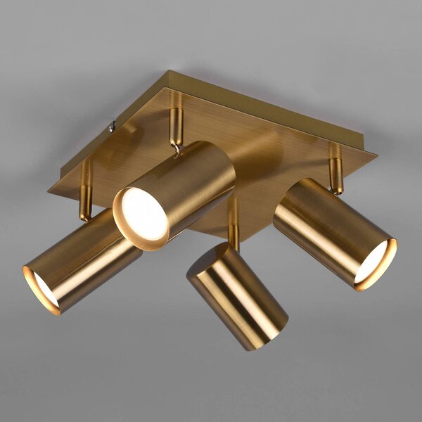 Trio Lighting Faretto da soffitto Marley, ottone antico, a 4 luci dimmerabile, Bronzo / Ottone antico, Soggiorno / Sala da pranzo, Metallo, Moderno, Faretto