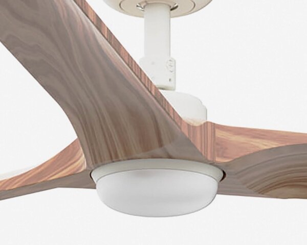 FARO 33810-1TW - Ventilatore a LED dimmerabile HEYWOOD LED/10W/230V 2700/3000/4000K + telecomando
