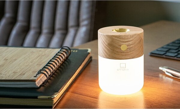 Diffusore elettrico Smart - Gingko