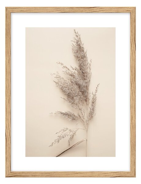 Dipinto 30x40 cm Grass – knor