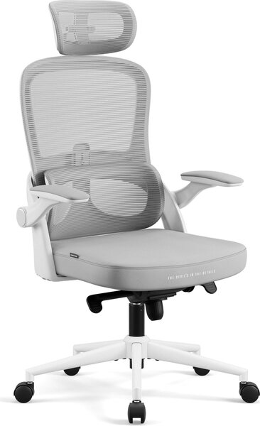 Sedia da ufficio Diablo V-Light Sedia da scrivania ergonomica Braccioli 3D Supporto lombare integrato Portata fino a 110 kg bianco-grigio