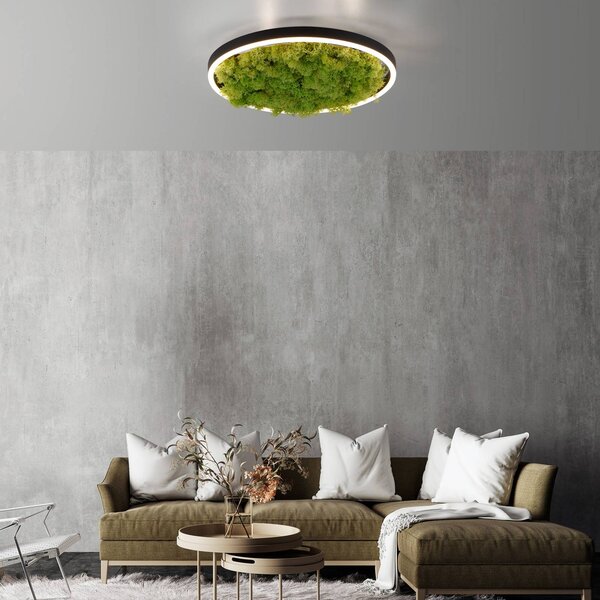 JUST LIGHT. GmbH Plafoniera a LED Green Ritus, dimmerabile, Verde, Soggiorno / Sala da pranzo, Moderno, Plafoniera LED