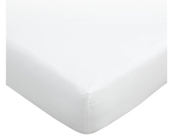 Lenzuolo bianco in cotone egiziano elasticizzato 90x190 cm - Bianca