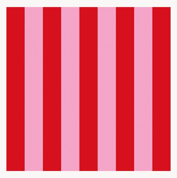 Set di 40 tovaglioli di carta rossi e rosa Red & Pink