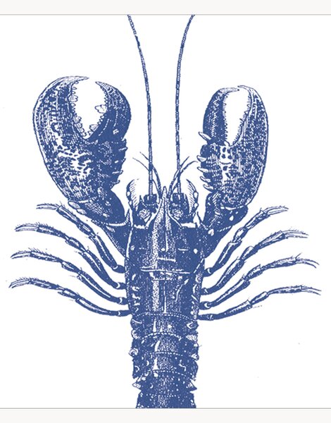 Set di 40 tovaglioli di carta Lobster