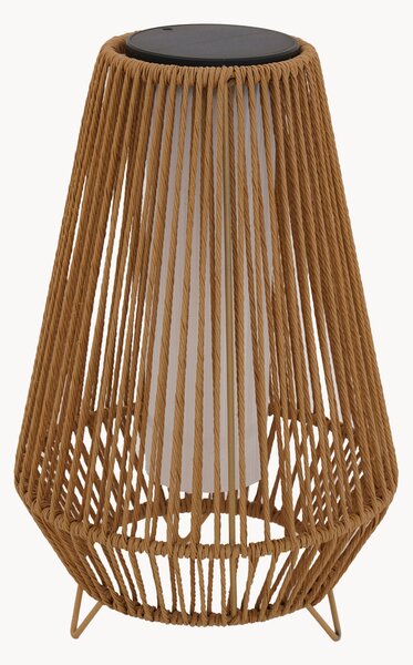 Lampada da terra solare a LED con luce regolabile Salomea Tall