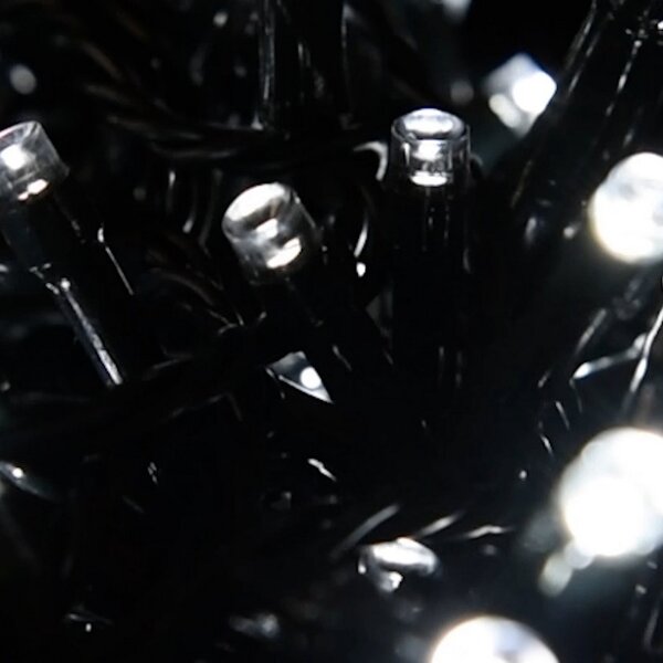 Catena di luci 5 metri da 100 Led Bianco Freddo con cavo verde Wisdom