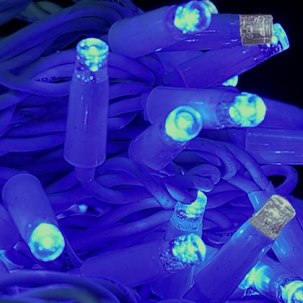 Catena di luci 10 metri 100 MaxiLed Reflex Professionale prolungabile Blu fisso e Freddo intermittente con cavo bianco da esterno Wisdom