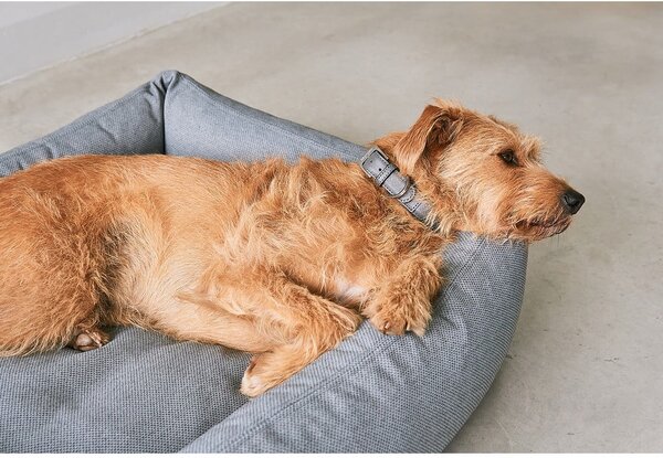Cuccia grigia per cani 71x91 cm Mare Rock M - MiaCara