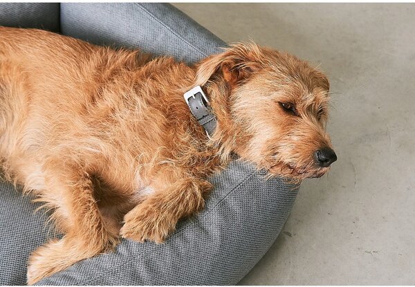 Cuccia grigia per cani 71x91 cm Mare Rock M - MiaCara