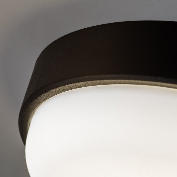 Rabalux 77223 - Plafoniera da esterno HORT2 LED/14W/230V IP54 nera