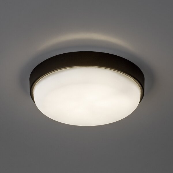 Rabalux 77223 - Plafoniera da esterno HORT2 LED/14W/230V IP54 nera