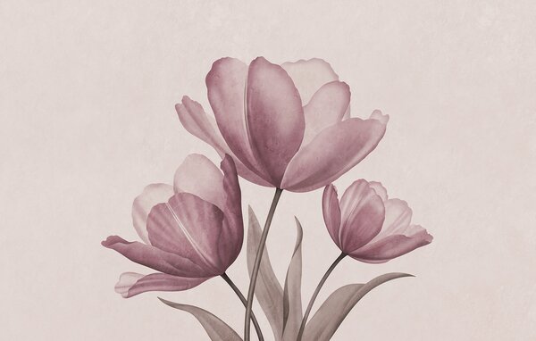 Carta da parati Eleganti tulipani dai delicati toni pastello, Carta da parati Floreale, Carta da parati popolare, t00762v2 - Tapeko.it