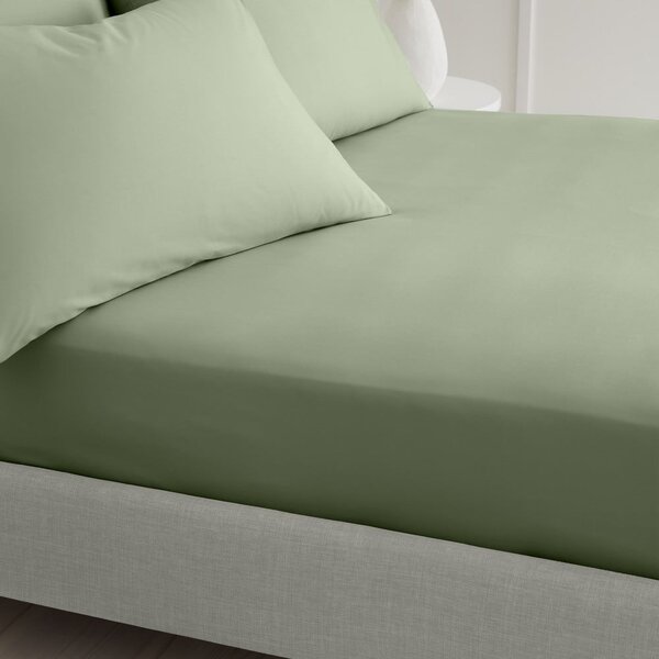 Lenzuolo con angoli verde in percalle di cotone 90x190 cm Cotton Percale – Bianca