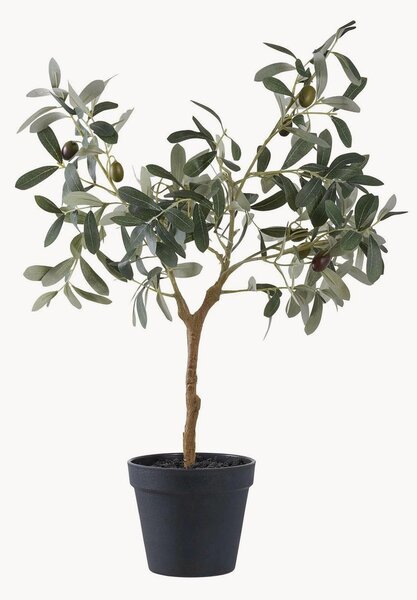 Pianta artificiale Olive