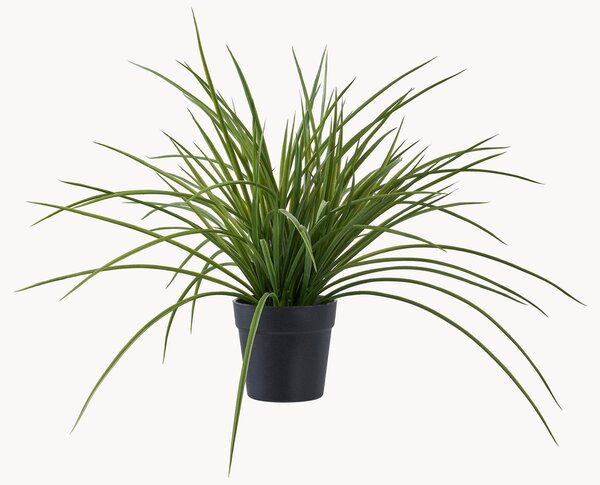 Pianta artificiale Grass