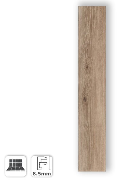 Gres Porcellanato Effetto Legno Rovere Chiaro Tonalità Avana 20x120 - AEC01