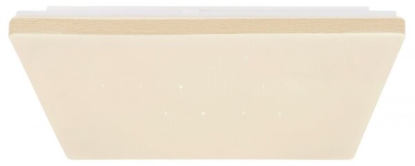 Globo 48025WSH - Plafoniera LED Dimmerabile LED/24W/230V Wi-Fi Tuya + TC