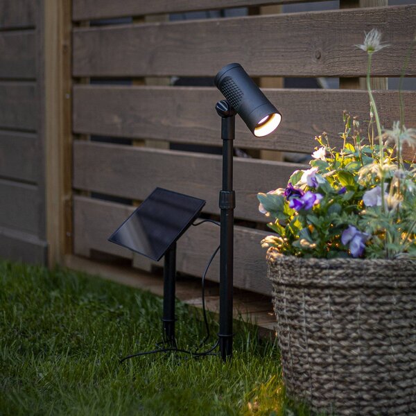 STAR TRADING Faretto solare a LED Powerspot 53 cm, 250 lm, nero, picchetto da terra, Nero, Plastica, Moderno, Lampade solari
