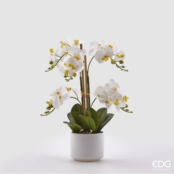Orchidea Bianca con vaso h38 cm, EDG collections - EDG Enzo De Gasperi