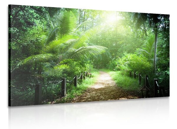 Stampa su tela – Sentiero sull'isola di Seychelles
