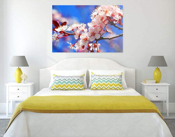 Quadro su tela – Fiore di ciliegio