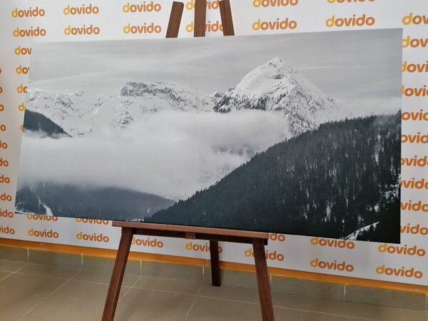 Stampa su tela – Paesaggio invernale in bianco e nero
