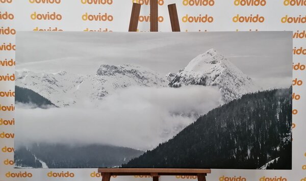 Stampa su tela – Paesaggio invernale in bianco e nero