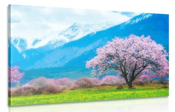Quadro su tela – Albero magico tra le montagne