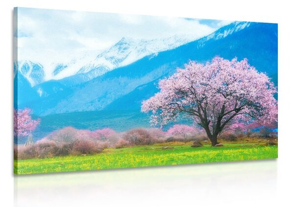 Quadro su tela – Albero magico tra le montagne
